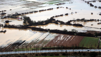 Muğla'da sağanak: Tarım alanları sular altında kaldı