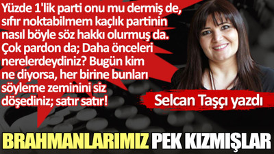 Brahmanlarımız pek kızmışlar