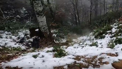 ATV ile uçurumdan yuvarlandı