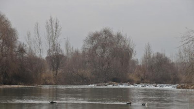 Bir nehir için daha alarm verildi: 3 balık türü yok olacak