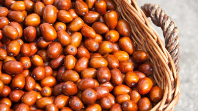 İğdenin faydaları neler? İğde neye iyi gelir?