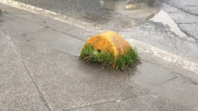 Eyüp'te yerde dev bir fıstıklı baklava. İnsanlar yiyemeyince hayal etmeye başladılar
