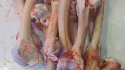 Çocuğa karne hediyesi olarak et alınan ülkemde artık kemiği bile para ediyor