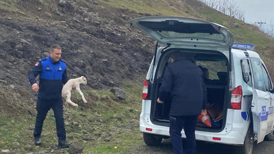 Ekipler anons ederek kuzunun sahibini aradı
