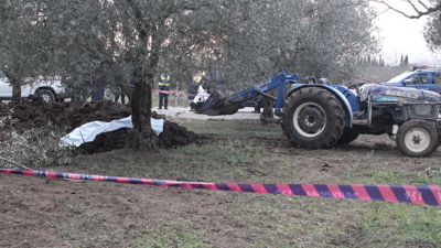 Çiftçi ne yapacağını şaşırdı. Zeytin bahçesine getirilen gübrenin içinden kadın cesedi çıktı