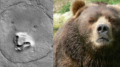 Mars’tan gelen ayı görüntüsü şaşkına çevirdi