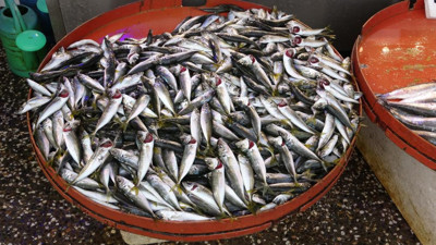 İstavrit fiyatıyla şaşırttı