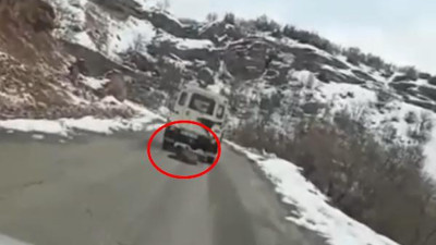 Ölü domuzun cip arkasında sürüklenmesine soruşturma