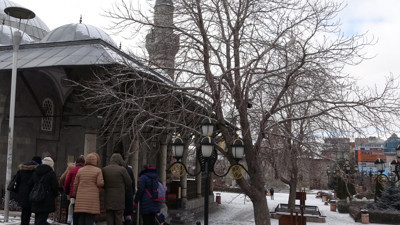 Tarihi camiinin bahçesindeki ağaçlar tescil edildi