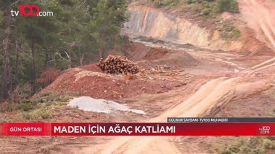 Kaz Dağları resmen yok ediliyor: Nurol Holding 158 bin ağaç kesecek