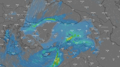 Herkesi yatağında yakalayacak. Yarın ki bir şey değil sinek vızıltısı