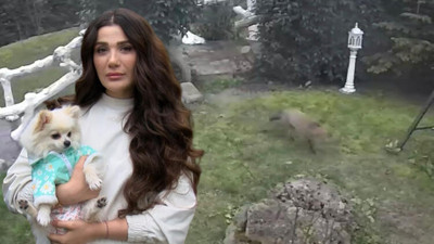 Şarkıcı Dilan'ın villasına tilki girdi. Tilkiyi bahçede gören Dilan eve kapandı