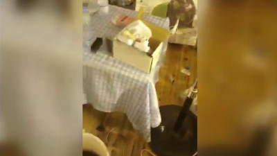 Evde Hint keneviri yetiştiren 4 zanlı gözaltına alındı