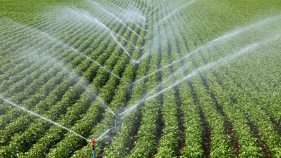 ABD'de tarım dışı verimlilik beklentileri aştı