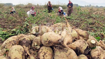 Tarım Bakanı açıkladı. Bugün hesaplara yatıyor