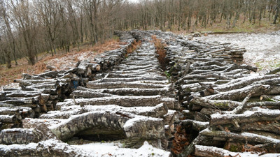 Çanakkale'de kar yağışı