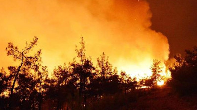 Şili'de orman yangınlarında hayatını kaybedenlerin sayısı 13'e yükseldi