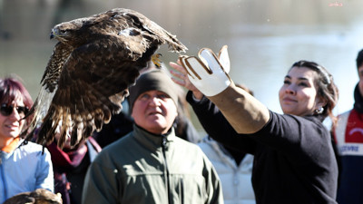 Antalya'da iki şahin, Dünya Sulak Alan Günü'nde doğaya bırakıldı