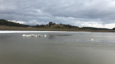 Kısmen buz tutan gölün keyfini kazlar çıkardı
