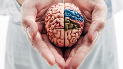 Yemek yerken görülüyor sonrasında felç başlıyor.