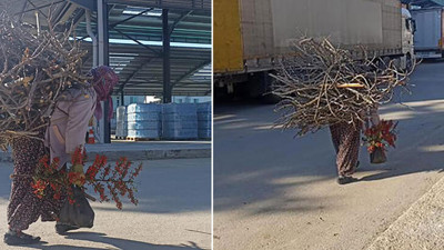 Soğuktan titreyenleri televizyonda gördü. 60 yaşında dağa çıkıp depremzedeler için odun topladı