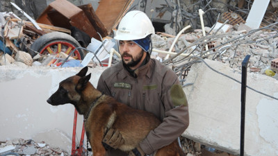 Arama kurtarma köpeği Tetik, Samandağ'da 15 can kurtardı