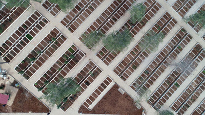 Binlerce kişi yan yana toprağa veriliyor. 24 saat defin yapılıyor