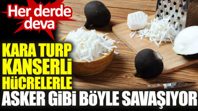 Her derde deva kara turp kanserli hücrelerle asker gibi böyle savaşıyor