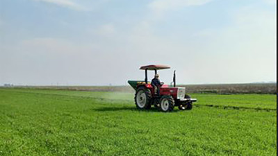 7000 yıllık Türk yurdu Hatay'ı terk etmeyeceğim. Hataylı çiftçi kadın depremde ölenlere söz verdi