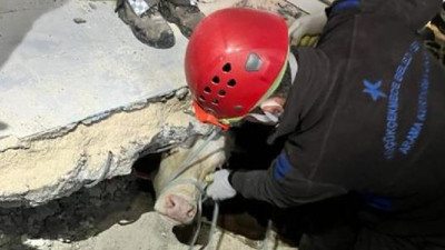 Enkaz altında kalan inek kurtarıldı