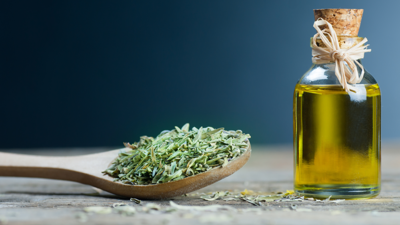 Kekik yağı nasıl kullanılmalı? Kekik yağının faydaları neler?