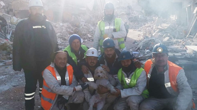 Depremde hasar gören binada mahsur kalmıştı. Köpekği madenciler tarafından kurtarıldı