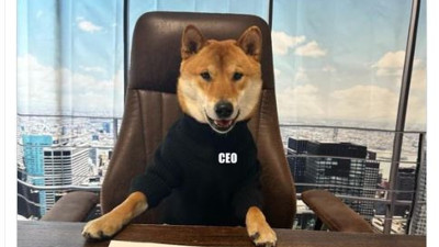 Elon Musk köpeğini Twitter'a ceo yaptı. Köpek temalı coin'ler yükselişe geçti