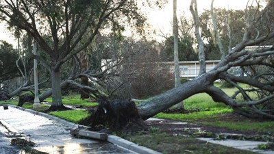 Yeni Zelanda'da Gabrielle Kasırgası 4 kişinin ölümüne sebep oldu