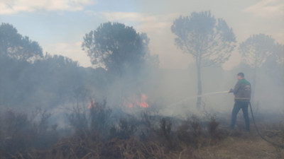 Çanakkale'de 1 hektarlık alan yanarak küle döndü