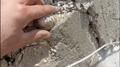 Yıkılan evin betonundan çıkan 'Pes artık' dedirtti