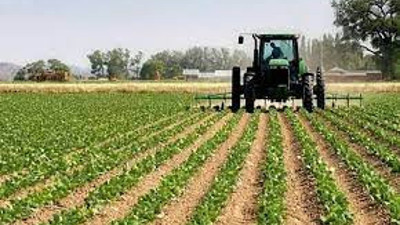 Tarım Bakanı açıkladı. Ödemeler nakit yapılacak