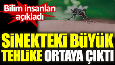 Bilim insanları açıkladı. Sinekteki büyük tehlike ortaya çıktı