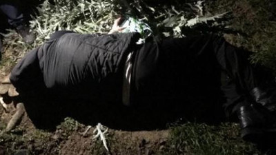 6 metreden düştü özür diledi