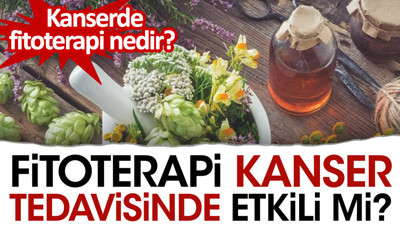 Kanserde fitoterapi nedir? Fitoterapi kanser tedavisinde etkili mi?