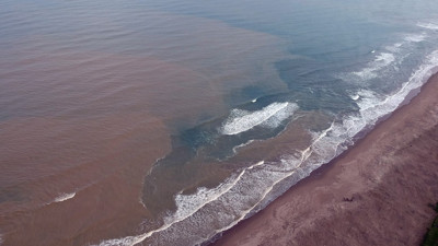 Karadeniz çamura büründü. Maviliğiyle meşhur sahil kahverengiye büründü