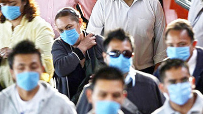 Domuz gribi salgınından 11 ölü