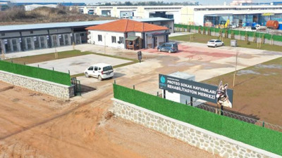 Arama kurtarma köpeği 'Proteo'nun ismi Kocaeli'de yaşatılacak