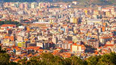 İzmir Tire’de icradan satılık zeytinlik