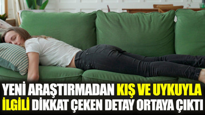 Yeni araştırmadan kış ve uykuyla ilgili dikkat çeken detay ortaya çıktı