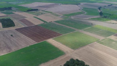 İzmir Çeşme’de icradan satılık tarla