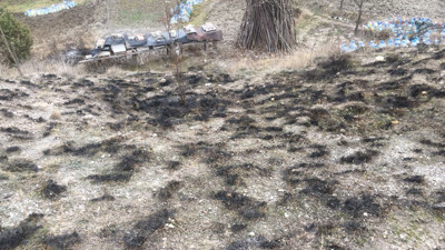 Kastamonu’da çıkan yangında arı kovanları son anda kurtarıldı