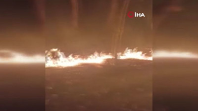 Tekirdağ'da orman yangını