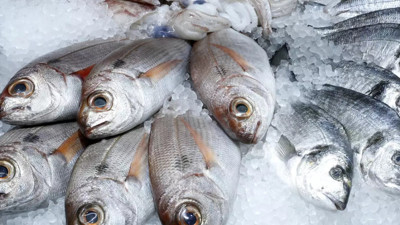 Florun faydaları nelerdir hangi besinlerde bulunur?