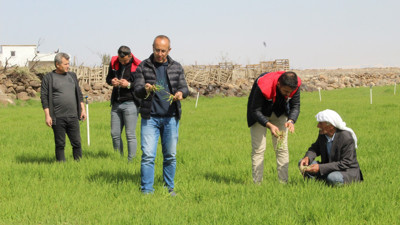 Bir köy ayağa kalktı. Her yeri istila ettiler
